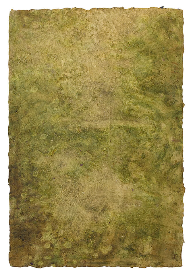 lloron papel 18.jpg